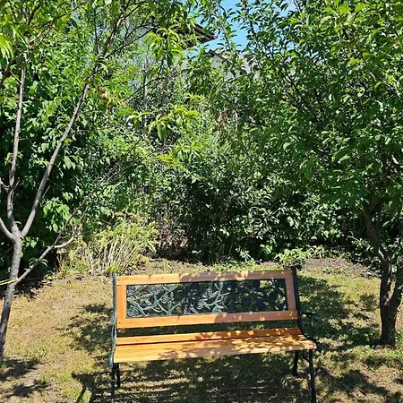 Apartmenthaus-winkler Wiener-neustadt-umgebung Appartement *